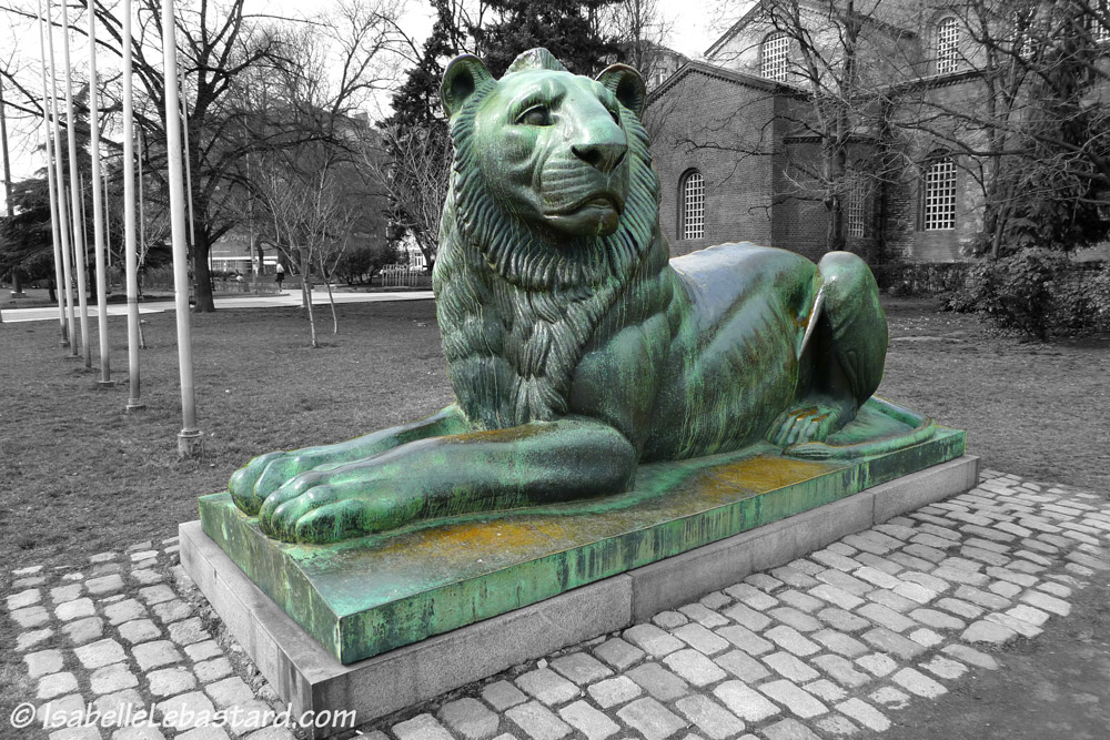 Le lion vert