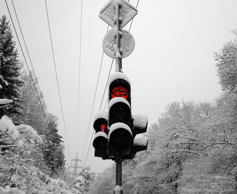 Feu rouge dans la neige