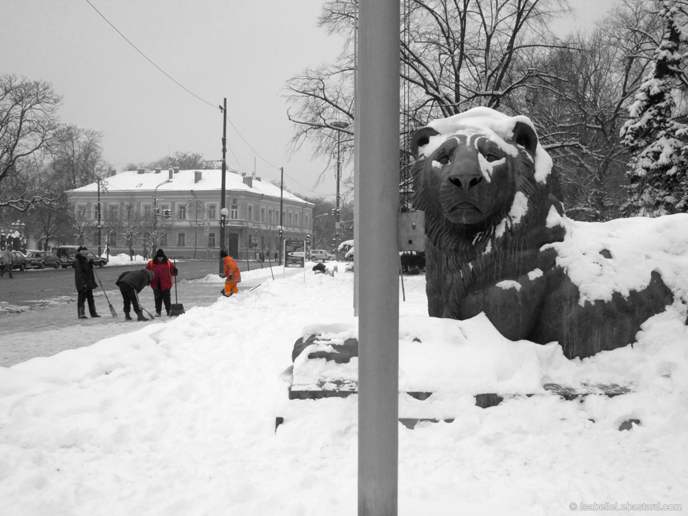 Le lion de Sainte Sophie